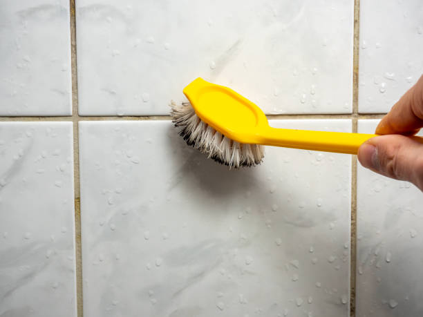 Mold Removal and Inspection in Sun Valley, NV
