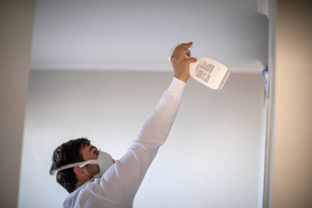Best Mold Testing and Removal  in Sun Valley, NV
