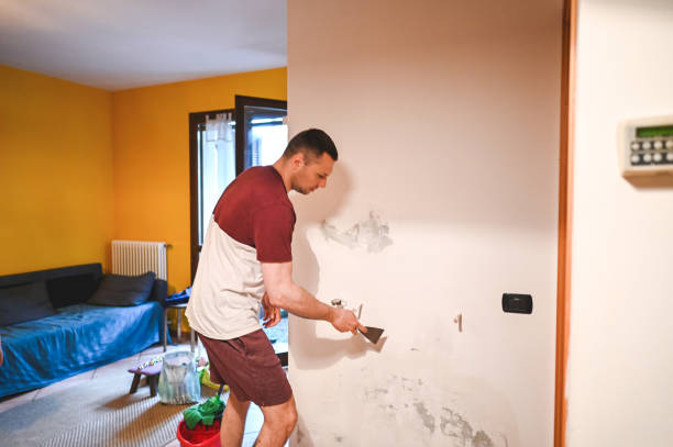 Best Office Mold Removal Services  in Sun Valley, NV